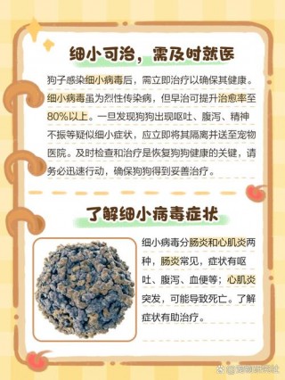 狗狗得细小能治好吗？狗得细小治得好吗（最新）