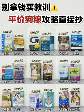 肠胃不好的狗狗吃什么狗粮，（肠胃不好的小狗吃啥）