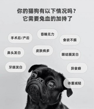 狗狗能吃羊血吗？狗狗到底可不可以吃羊血吗（最新）