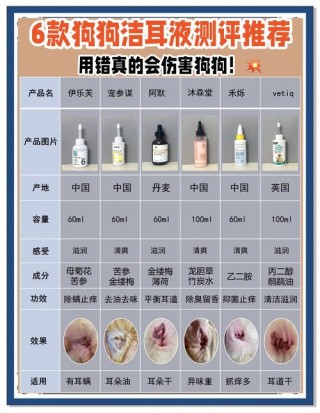 狗狗滴耳液的正确使用方法？狗狗滴耳液滴在什么位置（最新）
