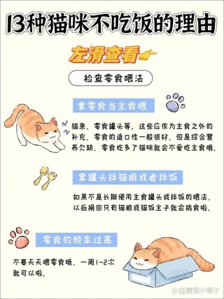 猫咪不好好吃饭怎么办，（猫 不好好吃饭）