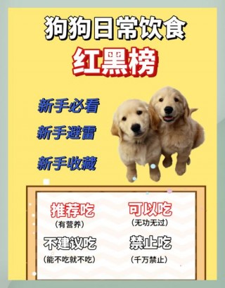 狗狗能吃海鲜吗，狗狗能吃海鲜吗煮熟的？