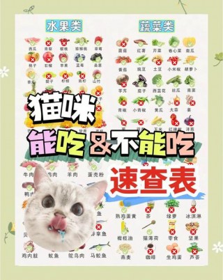 猫咪能吃什么蔬菜？猫咪必吃10种蔬菜（最新）
