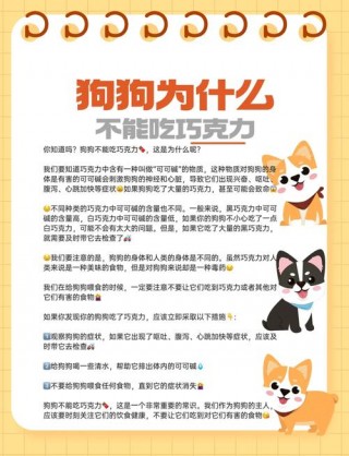 狗狗不能吃巧克力吗，（狗狗不能吃巧克力是真的吗?）