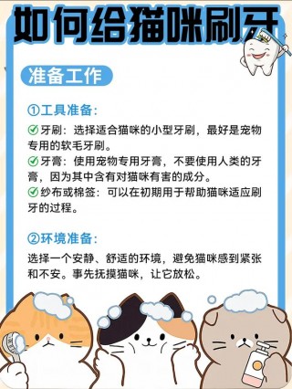 猫咪刷牙正确方法，（猫咪咋刷牙）