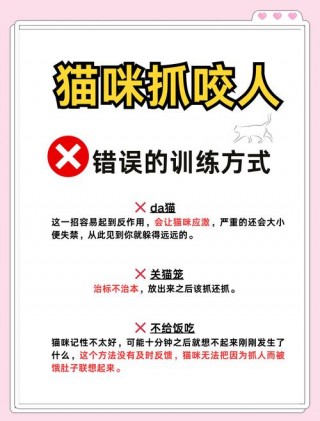 猫猫喜欢咬人怎么办，猫猫喜欢咬人怎么办?？