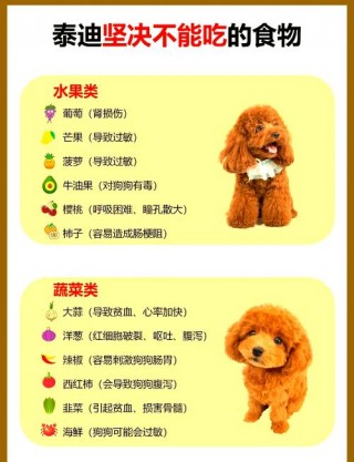 泰迪狗狗能吃南瓜吗，（泰迪狗狗能吃南瓜吗有营养吗）
