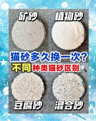 猫咪猫砂多久换一次，（猫砂多久换一次 猫砂使用方法）