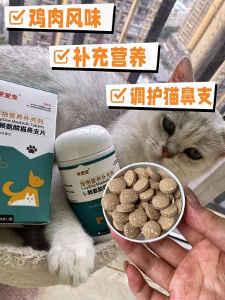 猫咪上火吃什么药？猫咪上火喂什么药（最新）