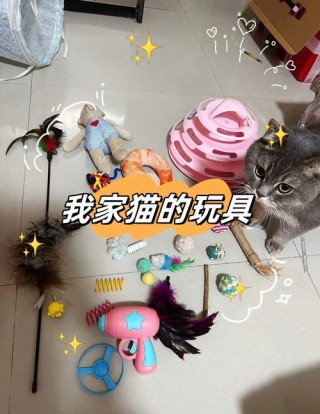 猫咪玩具有哪些，（猫咪玩具的作用）