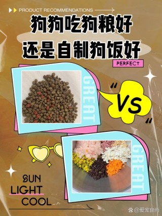 狗狗吃米饭好还是狗粮好？狗狗吃米饭吗（最新）