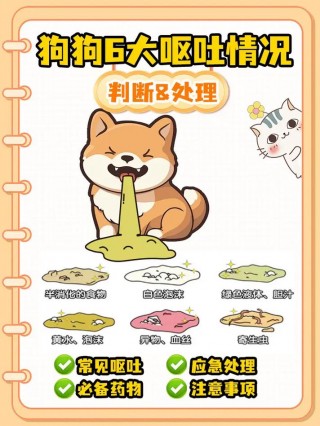 狗狗呕吐拉稀怎么办，（狗狗呕吐拉稀吃什么药好得快）