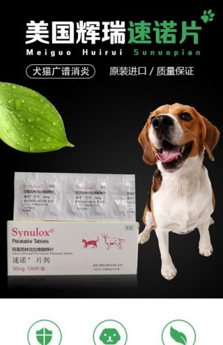 猫猫感冒了吃什么药？猫咪感冒了要吃什么药（最新）