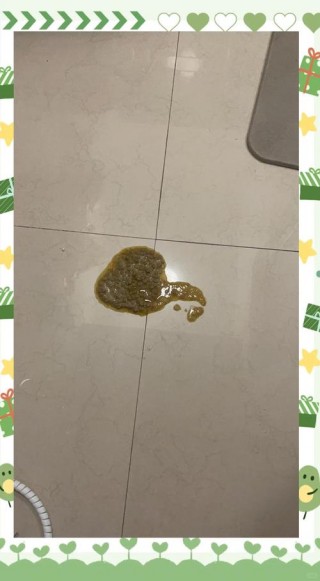 猫咪怀孕呕吐是啥样的，猫咪怀孕呕吐是怀孕多久了？