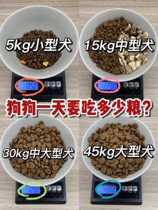 狗狗几个月可以吃干狗粮，（狗狗几个月的时候可以吃干狗粮）