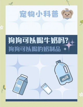狗狗可以吃纯牛奶吗，（狗狗能不能吃纯牛奶?）