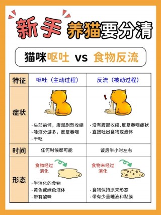 猫咪呕吐不吃东西？猫咪呕吐不吃东西没精神该给它吃什么药（最新）