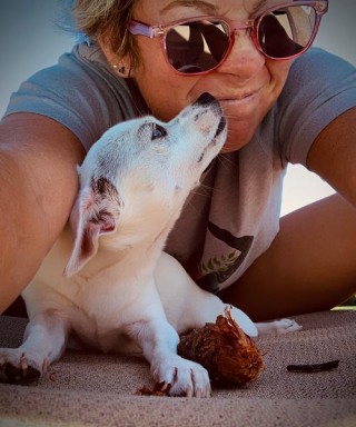 狗狗可以吃海带吗，狗能吃海带吗怎么吃好？