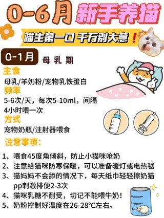 猫咪能喝米汤吗，（猫咪能喝米汤吗有营养吗）