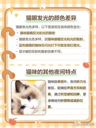 猫咪的眼睛为什么会发光？猫的眼睛为什么发亮（最新）