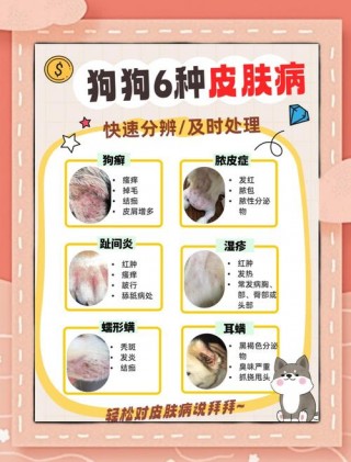 狗狗皮肤病自己会好吗，狗狗得皮肤病可以自愈吗？