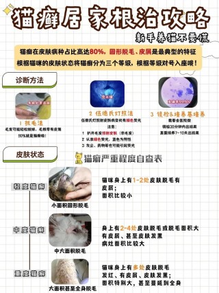 猫咪得猫藓用什么药，（猫咪得猫藓应该用什么药）