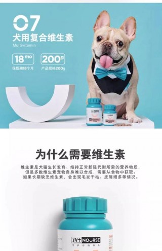 狗狗补微量元素吃什么，（狗狗补充微量元素的食物）