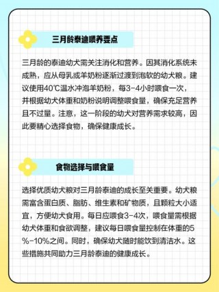 狗狗几个月吃磨牙棒，狗狗几个月才能吃磨牙棒？