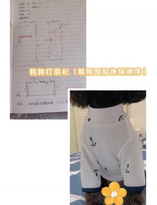 如何制作狗狗衣服，（如何制作狗狗衣服图片）
