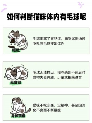毛球症的猫咪怎么治疗，（宠物猫毛球症）
