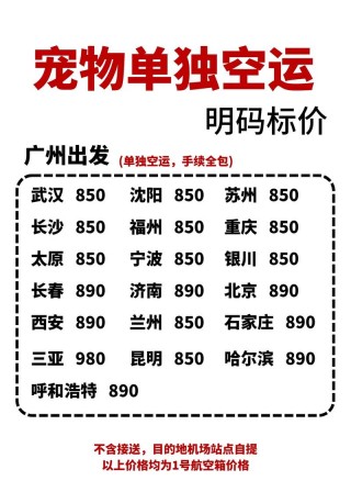 猫咪空运费大概多少钱？猫咪空运费用多少大概（最新）