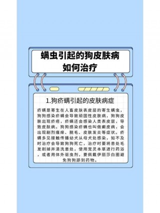 狗狗得了螨虫怎么治疗，（狗狗得螨虫的症状是什么样子的）
