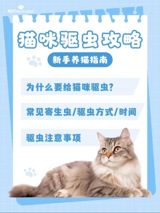 猫咪几个月驱虫，猫咪几个月驱虫啊？