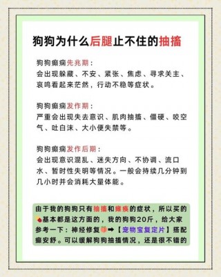 狗狗癫疯怎么控制？狗狗癫疯怎么控制住（最新）
