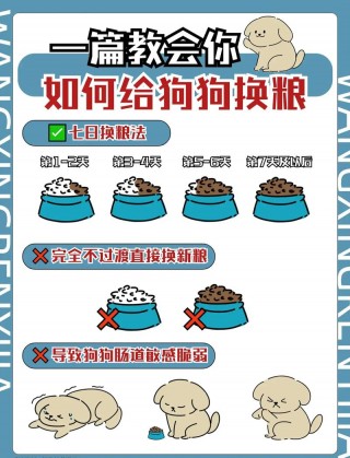 狗狗换狗粮怎么换？换狗粮步骤（最新）
