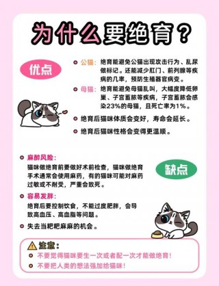 猫咪为什么做绝育，猫咪为什么做绝育不好？