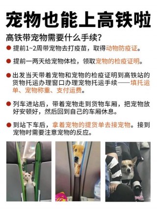 狗狗能上动车吗？狗能上动车吗怎么做（最新）