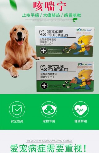 狗狗咳嗽吃啥药？狗狗咳嗽吃啥药效果好（最新）