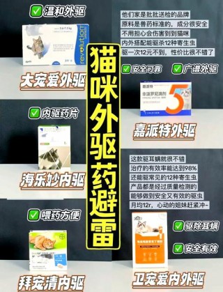 猫咪体内驱虫多久一次，猫咪体内驱虫多久一次吃多少？