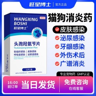 狗狗口腔溃疡用什么药，狗狗口腔溃疡能自愈吗？