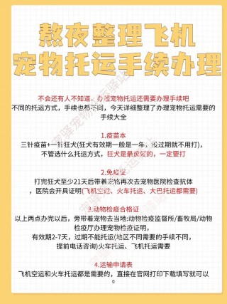 猫咪航空箱怎么安装，猫航空箱怎么解决拉屎问题？
