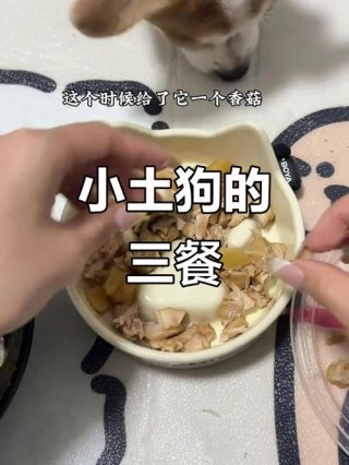 三个月大的狗狗吃什么，三个月大的狗狗吃什么比较好？