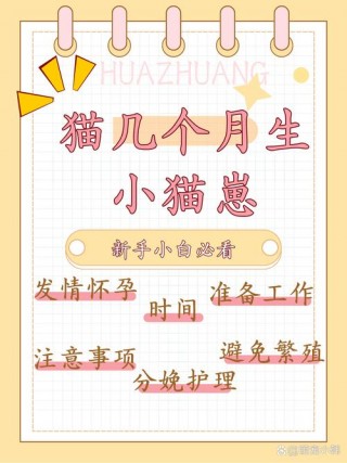 猫咪几个月可以生小猫，猫咪几个月可以生小猫咪？