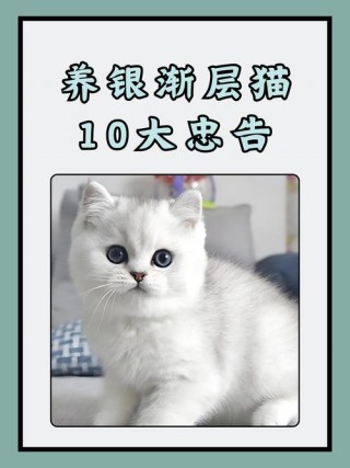 猫咪几个月成年，（猫咪几个月成年可以生孩子）