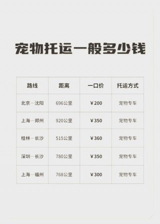 高铁上可以带猫咪吗，高铁上可以带猫咪吗有猫背包？