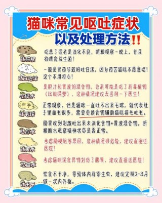 猫咪吐毛球怎么办，猫咪吐毛球的解决方法？