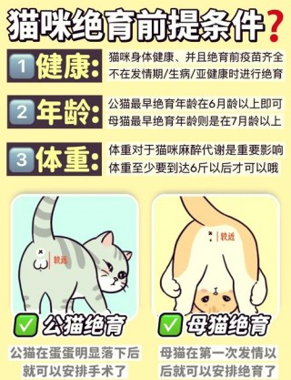 狗狗可以吃巴沙鱼吗，狗狗可以吃巴沙鱼吗？