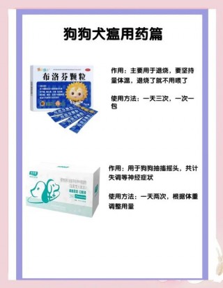 狗狗犬瘟吃什么药，狗狗犬瘟吃啥药？