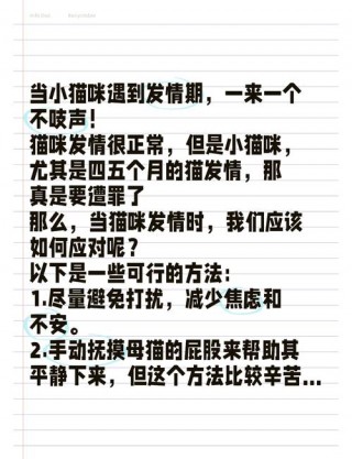 怎样让猫咪不叫？如何让猫 不叫（最新）