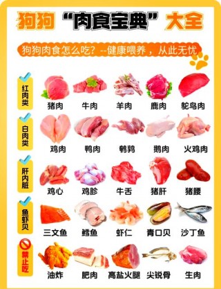 狗狗吃牛肉好吗，狗狗吃牛肉的好处和坏处？